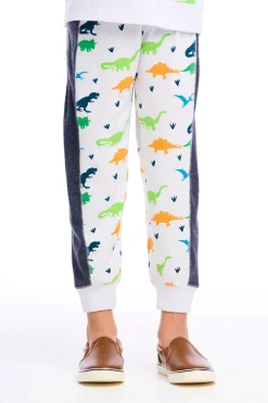 Store Dino Jogger Kids/BOY Boys